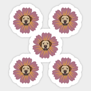 Labrador Retriever Head in Spring Flower Sticker